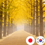 Japan & South Korea eSIM
