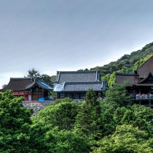 A breathtaking view of the Kiyomizu-Dera Temple surrounded by lush greenery in Kyoto, Japan.